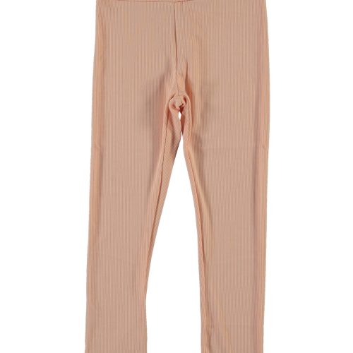 rebraste legice-marelična