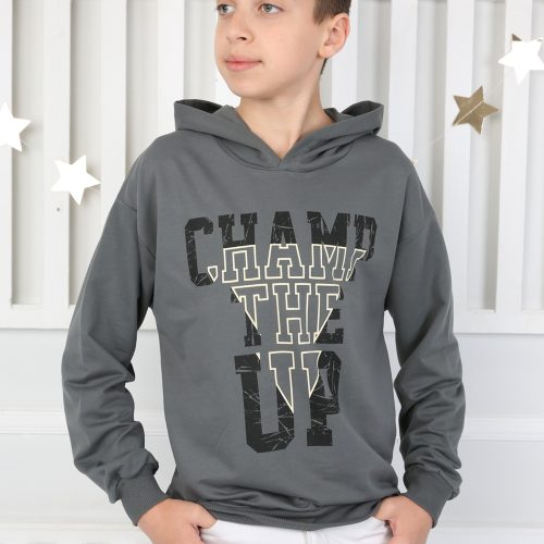 hoodie "champ"